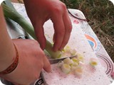 IMG_1758