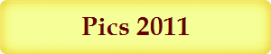 Pics 2011